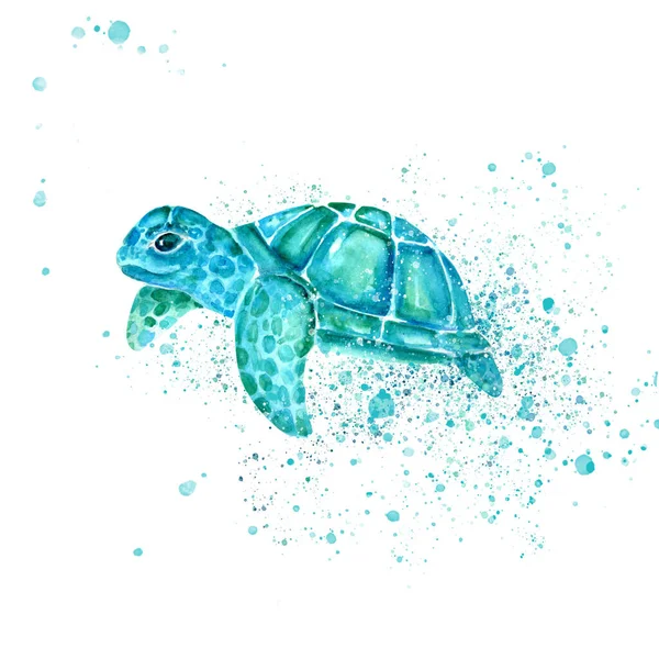 Aquarelle painting of turtle sketch art pattern illustration