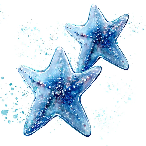 Aquarelle Pintura Estrella Mar Dibujo Patrón Arte Ilustración — Foto de Stock