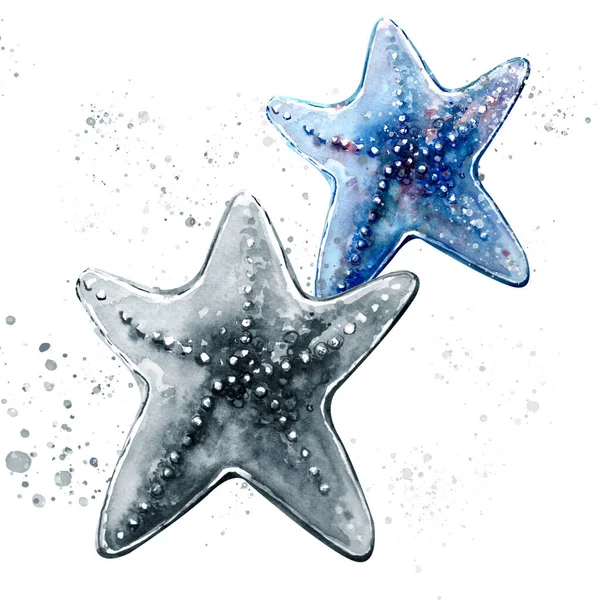 Aquarelle Pintura Estrella Mar Dibujo Patrón Arte Ilustración — Foto de Stock