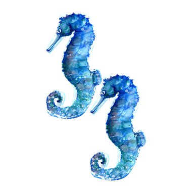 Deniz atı çiziminin Aquarelle resmi. Resim çizimi.