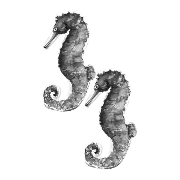 Aquarelle Peinture Hippocampe Croquis Illustration Modèle Art — Photo