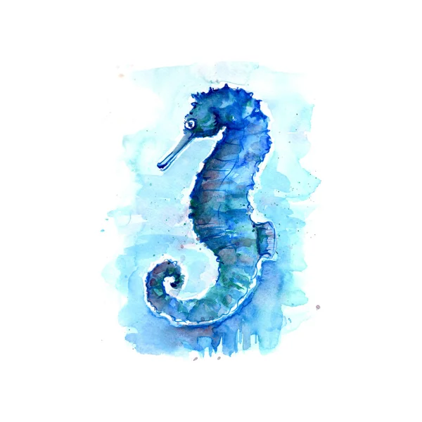 Aquarellmalerei Von Seepferdchen Skizze Kunstmuster Illustration — Stockfoto