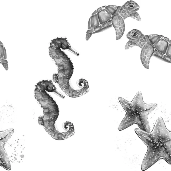 海龟水彩画 海星水彩画 海马素描画图 — 图库照片