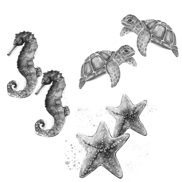 Aquarelle Schilderij Van Schildpad Zeester Zeepaardentekeningen Illustratie — Stockfoto