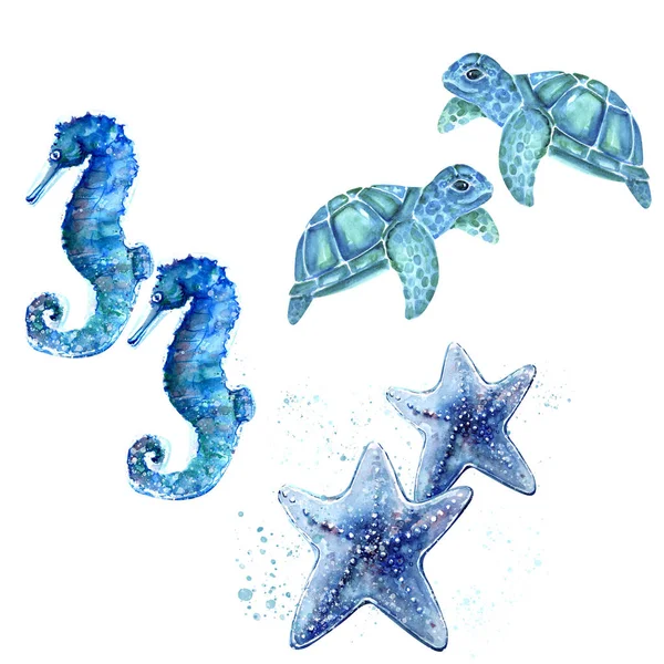 Aquarelle Painting Turtle Sea Star Seahorse Sketch Art Pattern Illustration — Stock Photo, Image