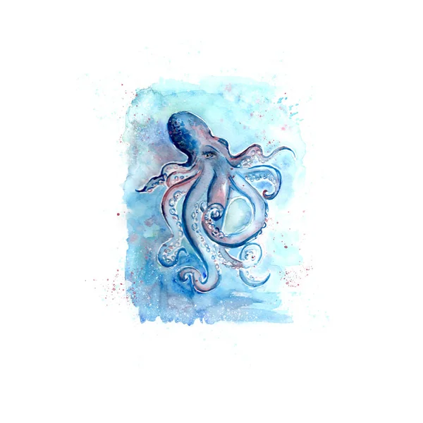 Aquarelle Painting Octopus Sketch Art Pattern Illustration — Stock Photo, Image