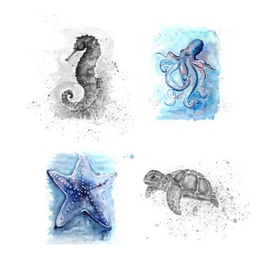 Kova, deniz atı, yıldız, ahtapot, resim çizimi.