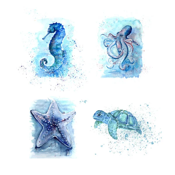 Aquarelle Schilderen Van Zeepaardje Ster Octopus Schets Kunst Patroon Illustratie — Stockfoto
