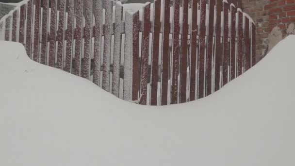 Video van een sneeuwstorm in Oekraïne — Stockvideo