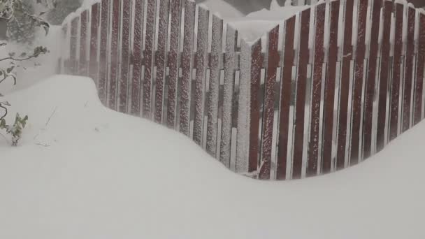 Vídeo de uma tempestade de neve na Ucrânia — Vídeo de Stock