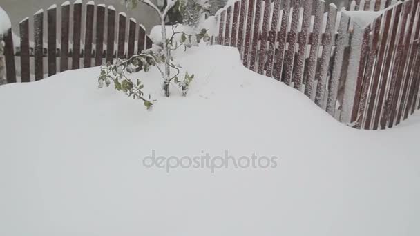 Video van een sneeuwstorm in Oekraïne — Stockvideo