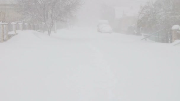 우크라이나에서 눈 폭풍의 비디오 — 비디오