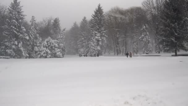 Tormenta de nieve escénica en la ciudad — Vídeos de Stock