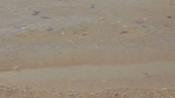 Playa de arena. Pequeñas olas de agua — Vídeos de Stock