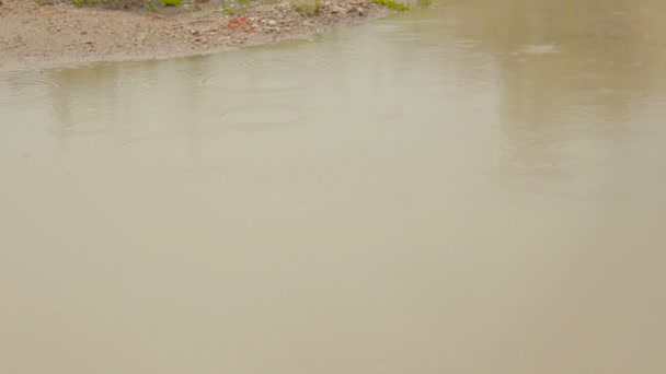 Краплі дощу на брудної води — стокове відео