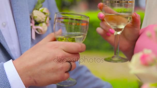 Amigos teniendo vino tostadas tintineo copas de vino — Vídeos de Stock