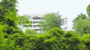 Gelin ve damadın birbirlerine bakıyorlar.