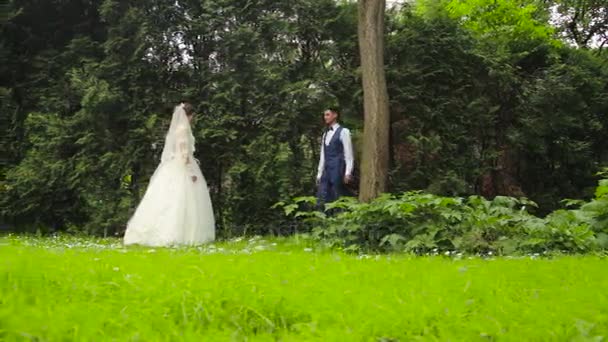 Bruden och brudgummen titta på varandra — Stockvideo