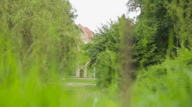 Makro görünümü doğanın