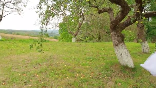 Die Braut sitzt auf einer schönen Schaukel — Stockvideo