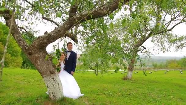 Жених и невеста мило смотрят друг на друга — стоковое видео