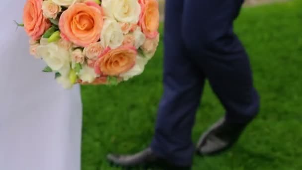 The bride and groom lovely look at each other — Stock Video