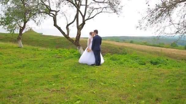 Bruden och brudgummen härlig ser på varandra — Stockvideo