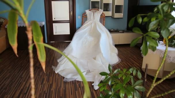 Bellissimo abito da sposa — Video Stock