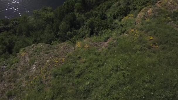 Vista aérea de un enorme cañón de altura — Vídeos de Stock