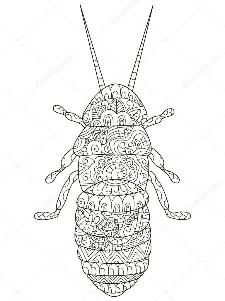 Beetle Coloring vector for adults