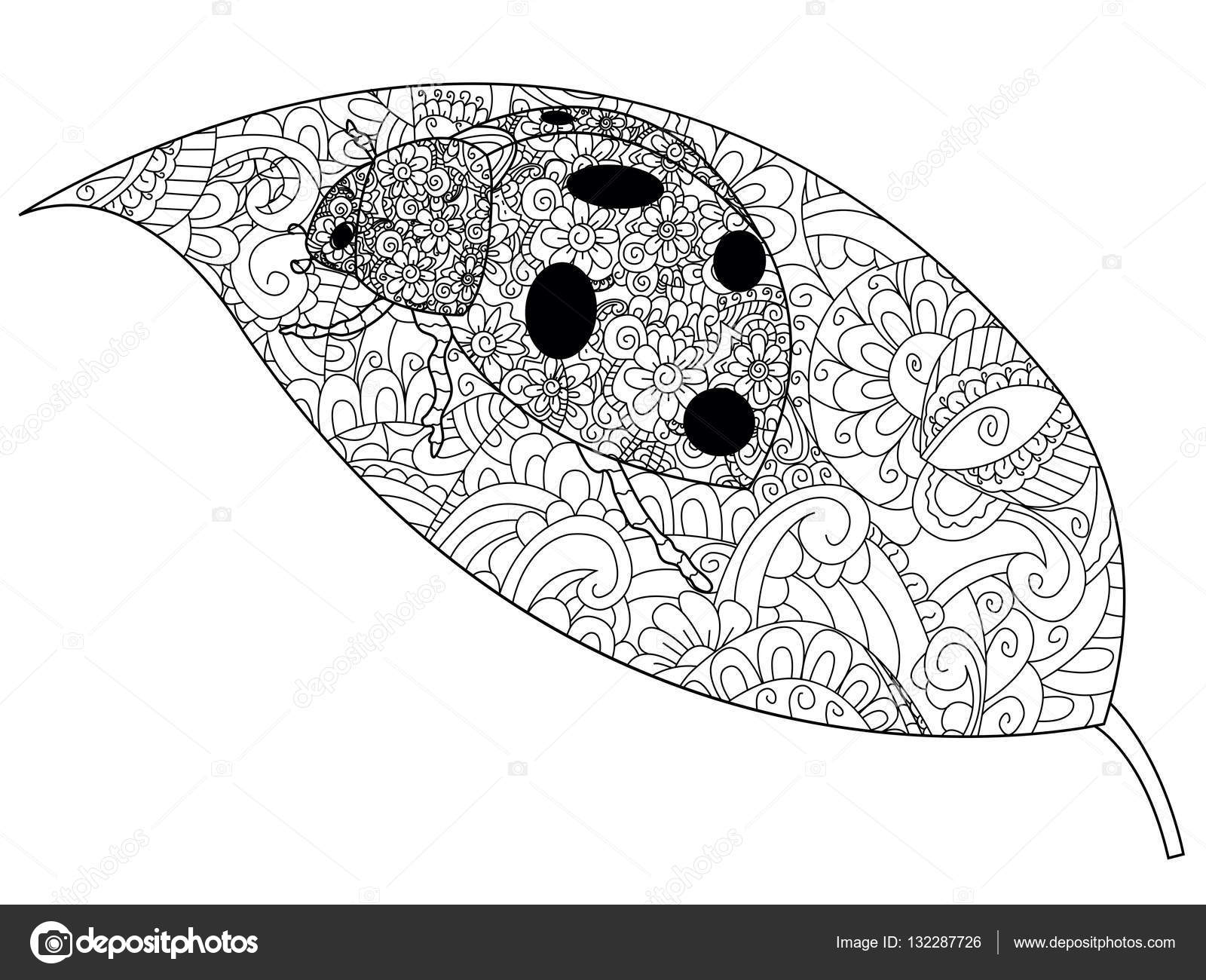 Lieveheersbeestje Op Een Blad Vector Kleurplaten Voor Volwassenen