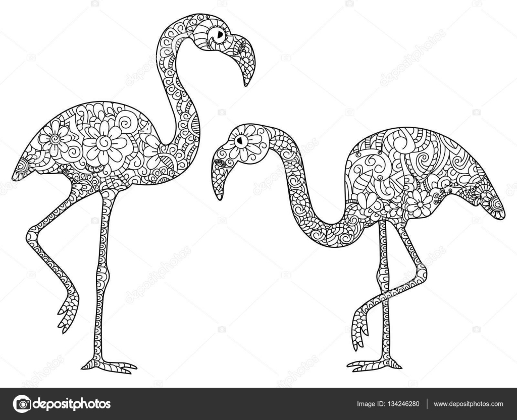 Deux flamants roses vector   colorier pour les adultes — Image vectorielle