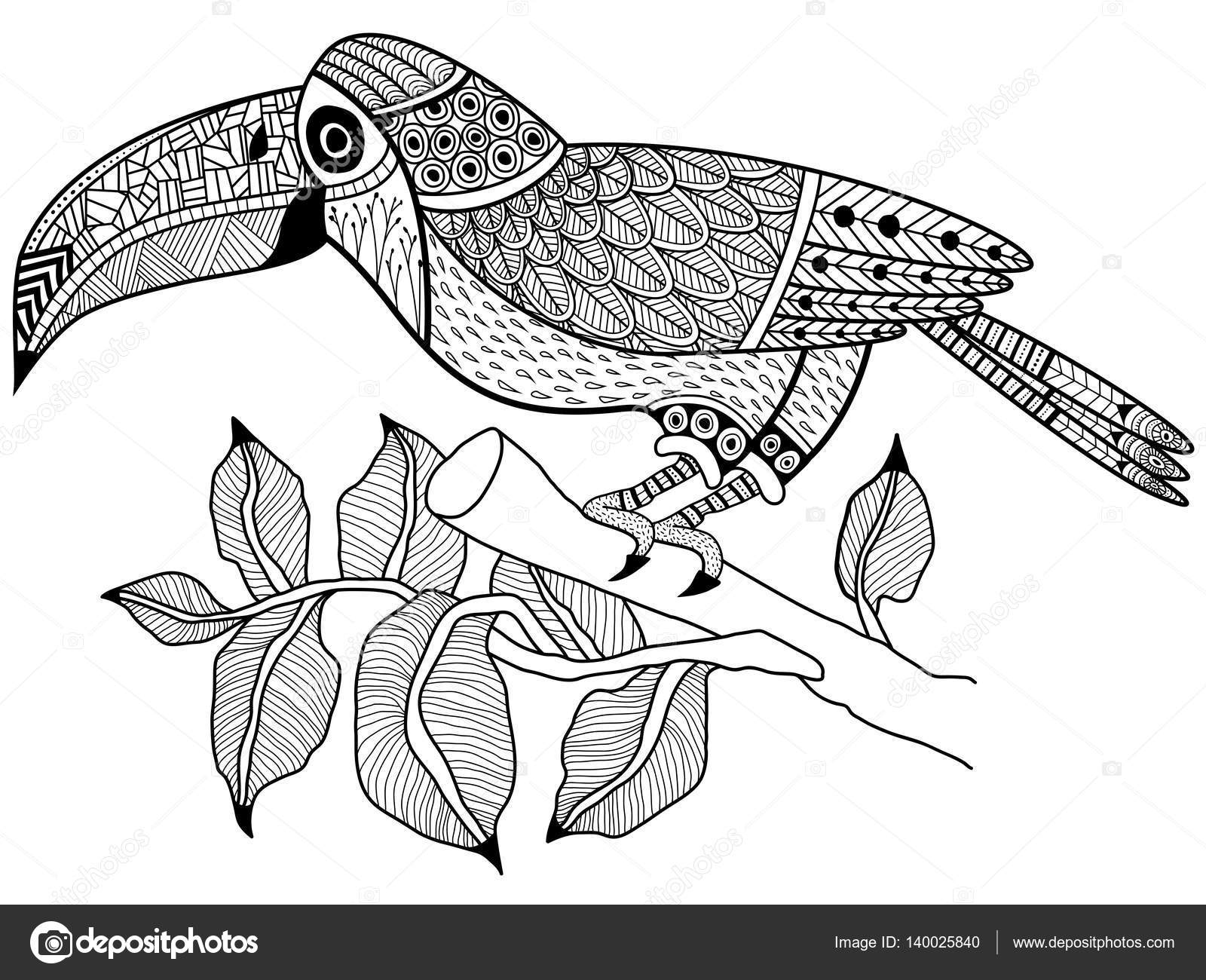 Oiseau Toucan sur un vecteur de livre de coloriage de branche pour les adultes — Image vectorielle