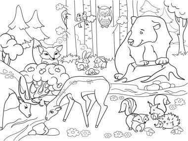 Yetişkinler için vektör boyama hayvanlar, orman yatay