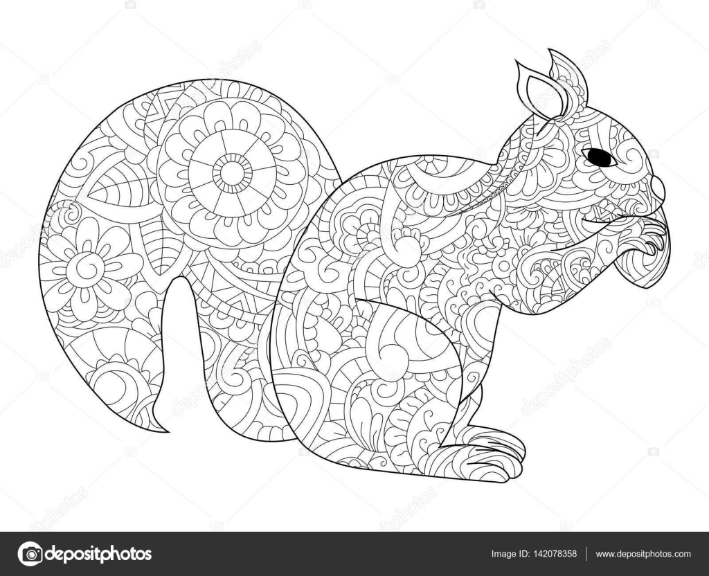 écureuil avec écrou vector   colorier pour les adultes — Image vectorielle