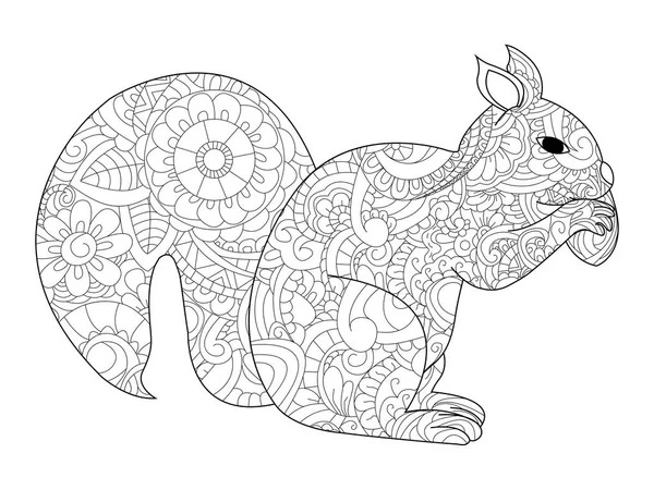 Écureuil avec vecteur de coloration des noix pour adultes — Image vectorielle
