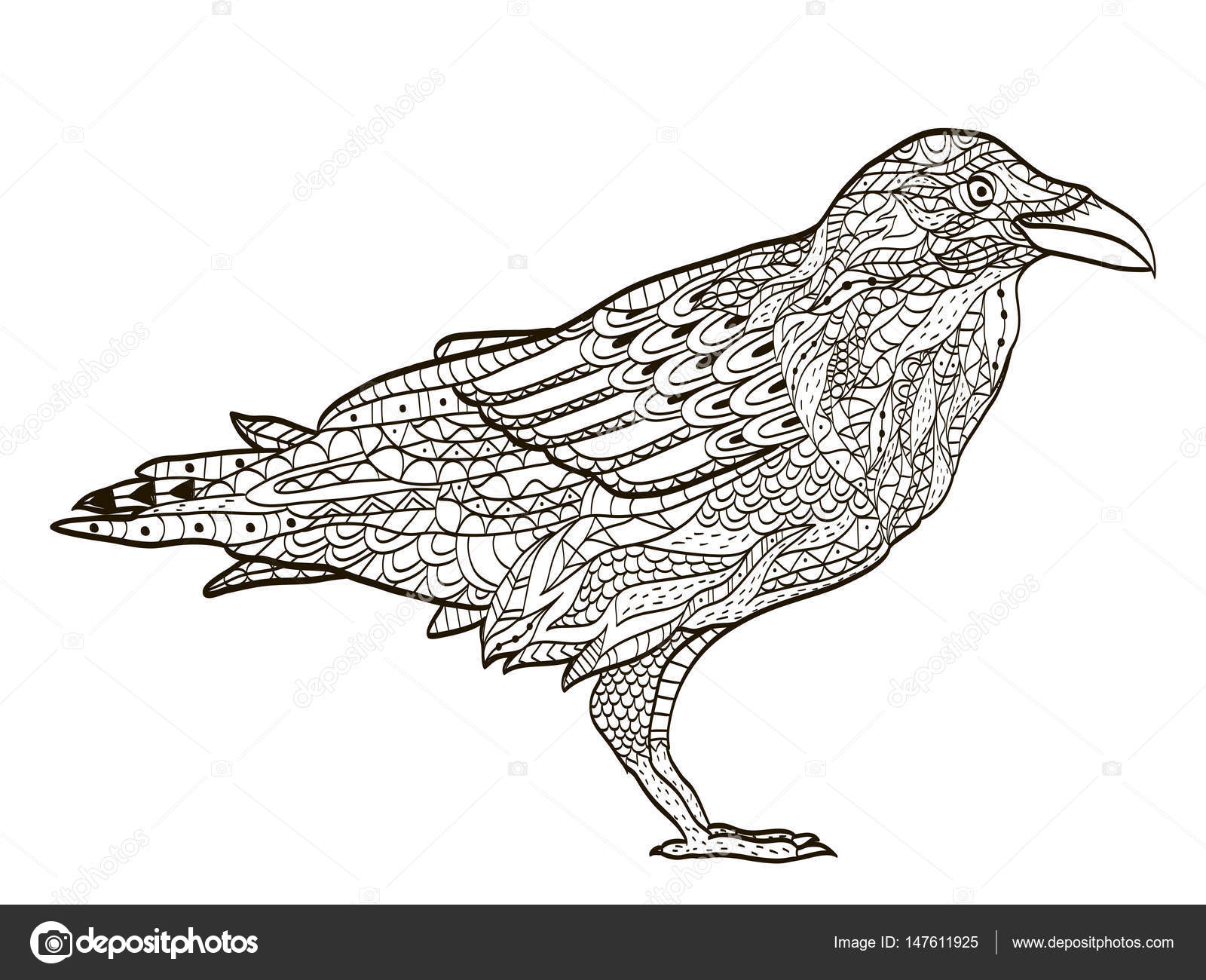 Corbeau oiseaux Coloriages pour adultes vector illustration Anti stress coloriage pour adulte Zentangle nature de style Lignes noir et blanc