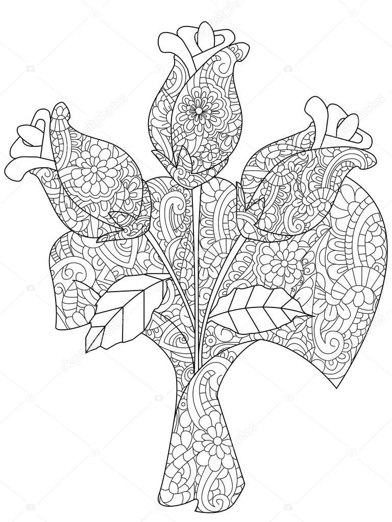 Vector illustration bouquet of three roses coloring book