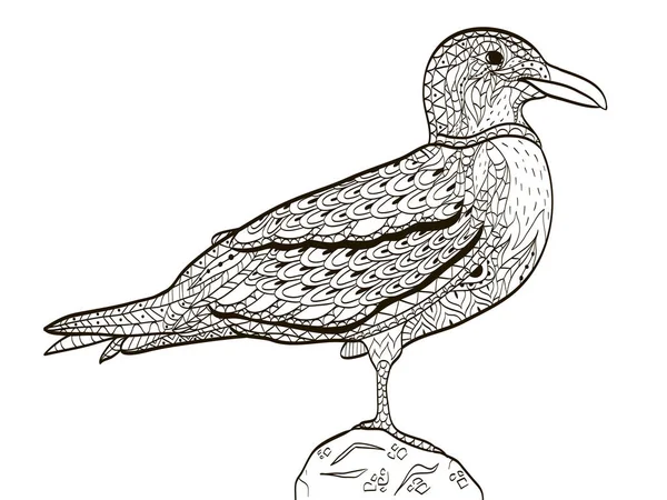 Fågel seagull målarbok för vuxna vektor — Stock vektor