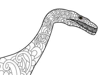 Bir nothosauru ejderha vektör için yetişkin renklendirme başkanı