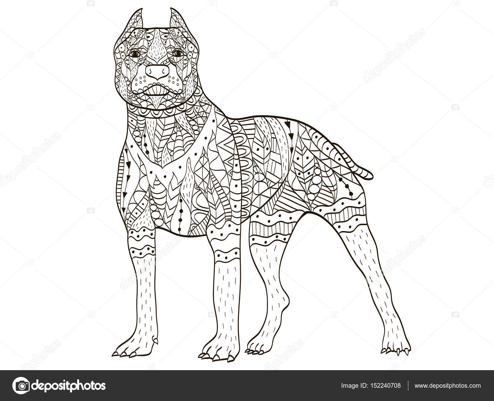 American Pit Bull Terrier Coloriage vecteur de livre pour adultes — Image vectorielle