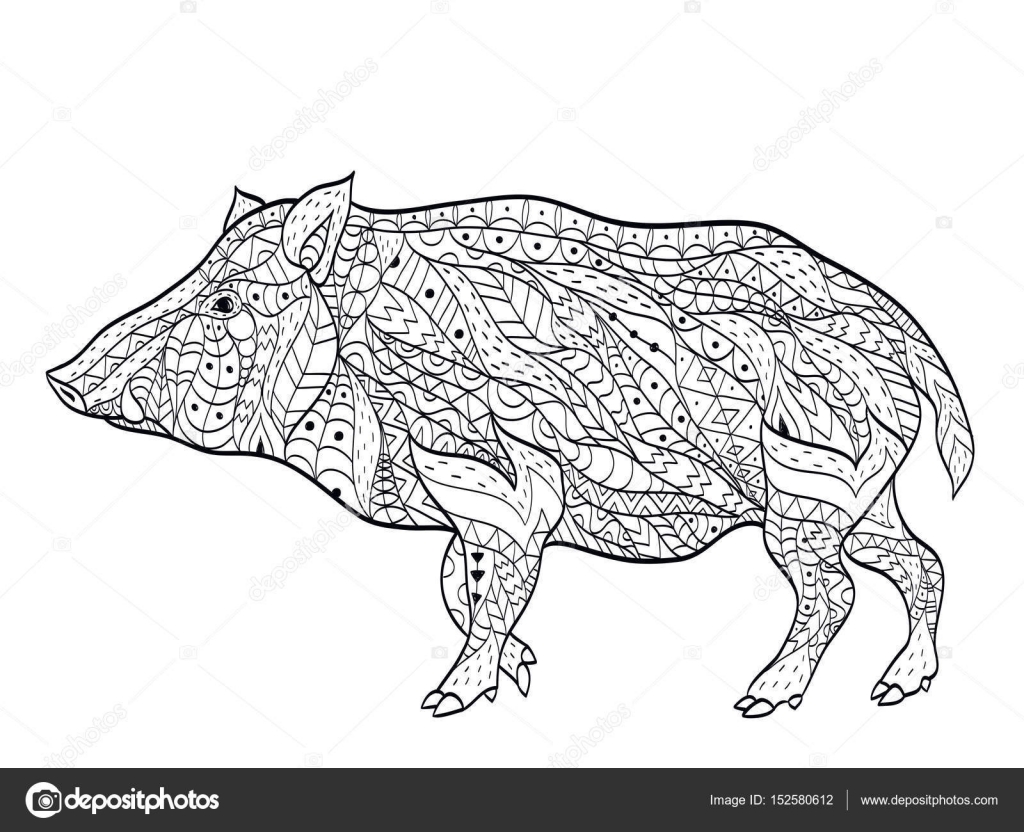 vecteur de coloriage pour adultes — Image vectorielle Sanglier illustration vectorielle livre colorier Anti stress colorier pour les animaux adulte Zentangle style Lignes noir et blanc