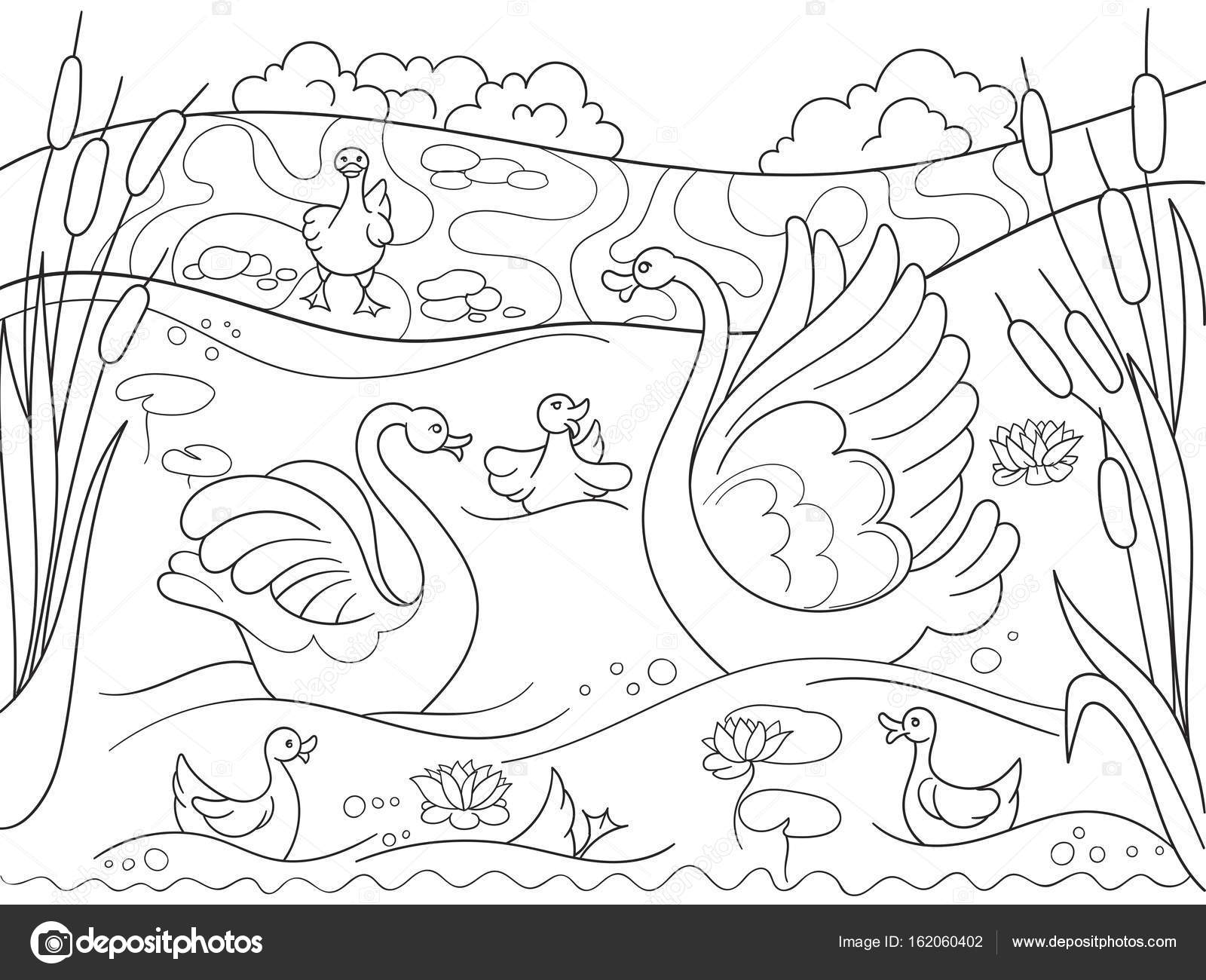 para crianças colorir família de desenho animado do livro de cisne