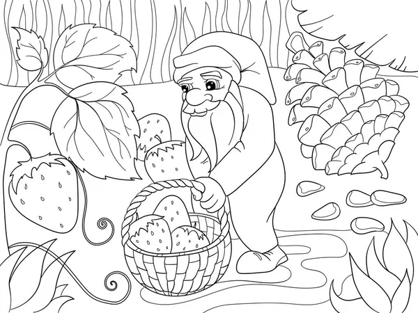 Farbowanie, rysunek, sceny. Karzeł w lesie zbiera truskawki, jagody. — Wektor stockowy