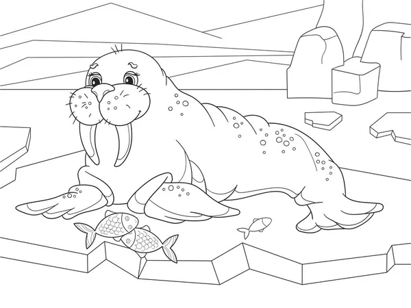 Το θαλάσσιο ίππο flippered θαλάσσιο θηλαστικό με ασυνεχή κατανομή για τον βόρειο πόλο, στην Αρκτική. Βιβλίο με σελίδες χρωματισμού — Διανυσματικό Αρχείο