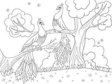 Çocuklar için çizgi film boyama. Bir kuş, bir kuş veya bir ağaç üzerinde bir tavus kuşu tüyü. Aşık Çift.