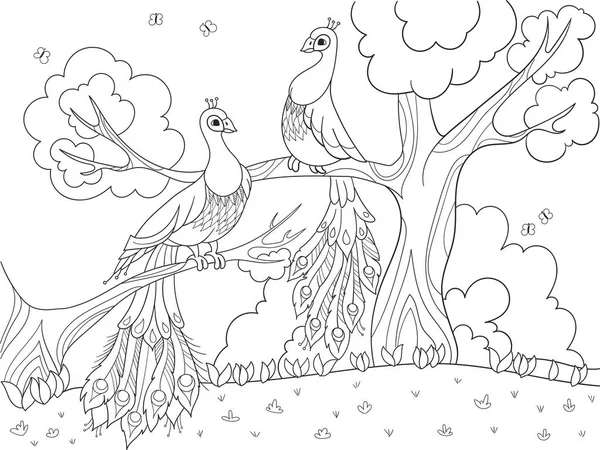 Cartoon-Färbung für Kinder. ein Vogel, eine Vogelfeder oder ein Pfau auf einem Baum. Verliebtes Paar. — Stockvektor