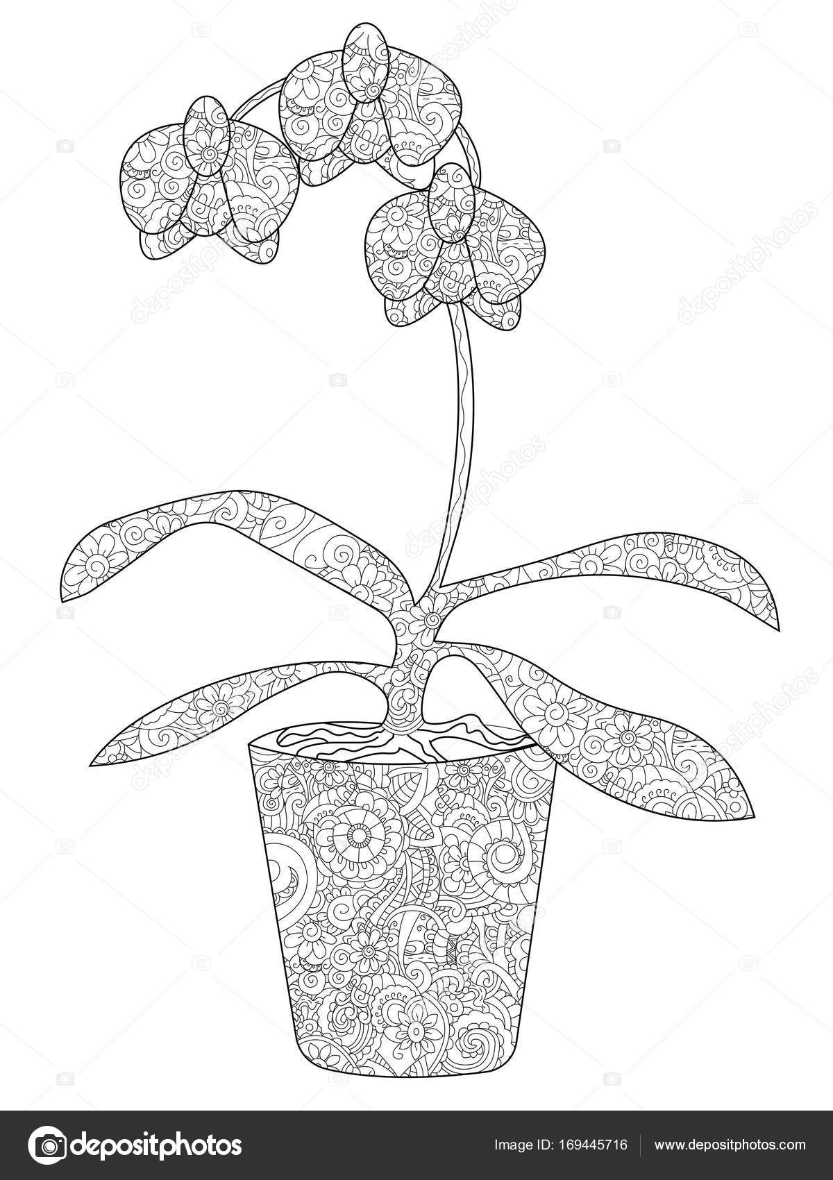 Flower orchid in a pot coloring raster for adults Stock Illustration by  ©toricheks2016.gmail.com #169445716, image size:1200x1700