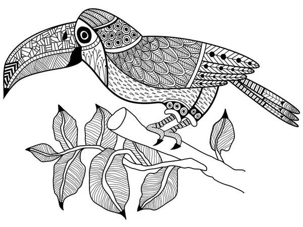 Tucano uccello su un ramo da colorare libro raster per adulti — Foto Stock