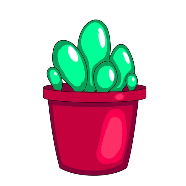 Planta de casa, cactus en una maceta. Fondo blanco — Vector de stock